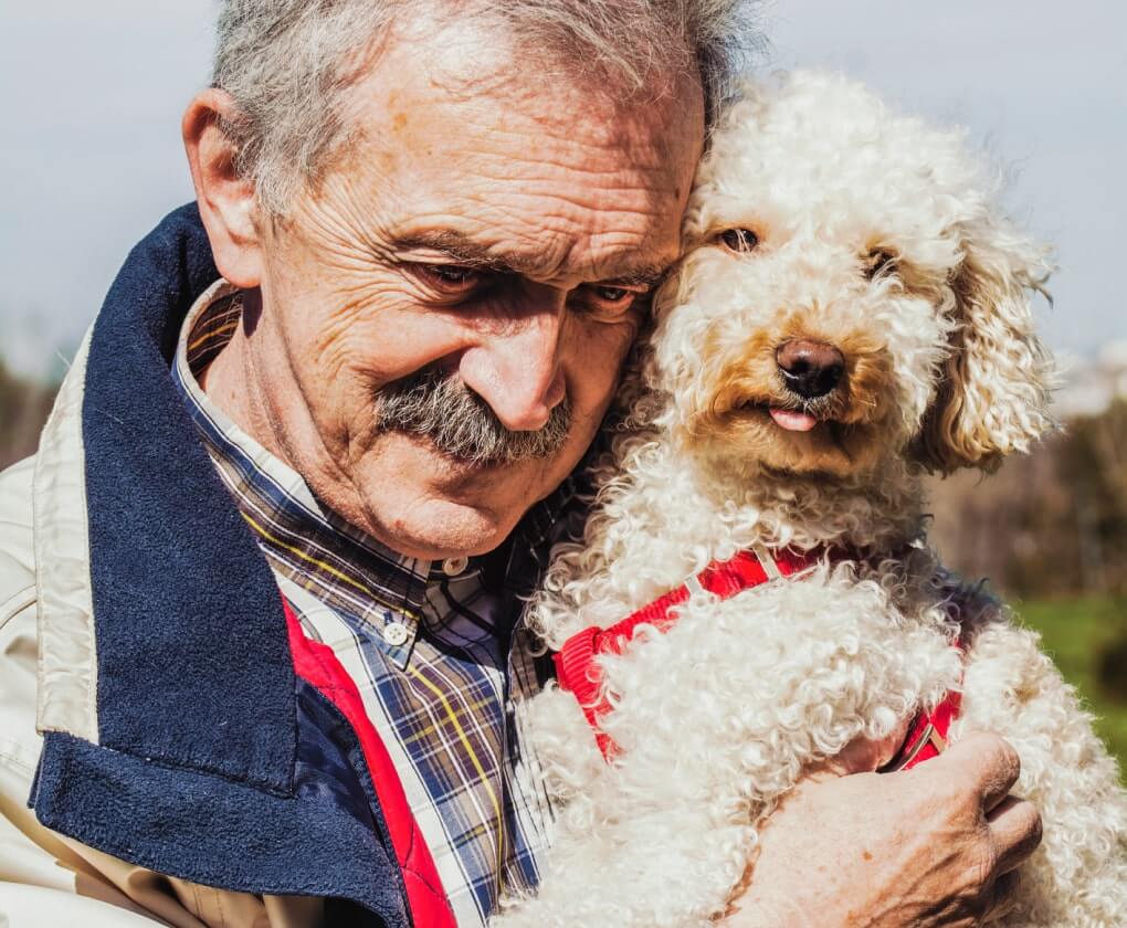 Elderly man with his labradoodle