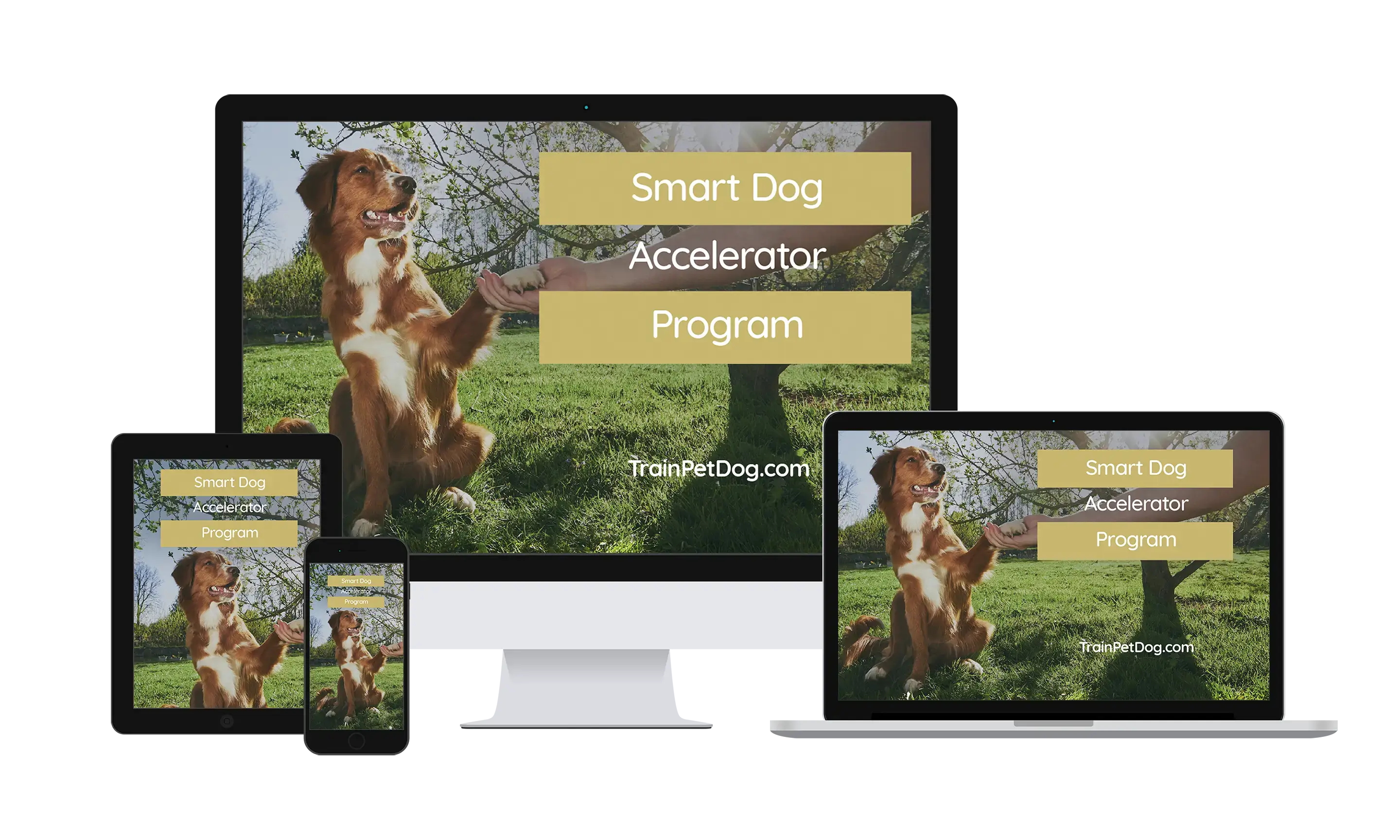 Smart Dog Accelerator program  in different devices