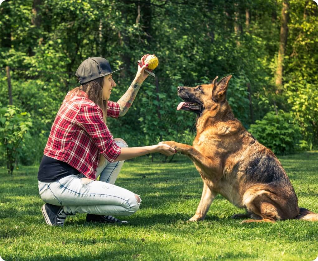 Woman playing with German Shepherd Dog